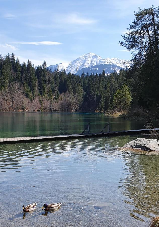 Ferienwohnung Stenna Selva An Toplage Flims Dış mekan fotoğraf