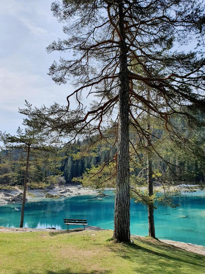 Ferienwohnung Stenna Selva An Toplage Flims Dış mekan fotoğraf
