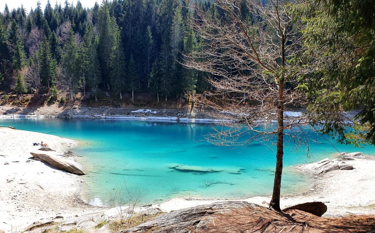 Ferienwohnung Stenna Selva An Toplage Flims Dış mekan fotoğraf